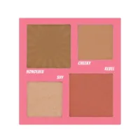 Sculpt Power Face Palette