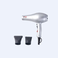 Επαγγελματικό Σεσουάρ Rigato Ionic Promex 2000W Ασημί