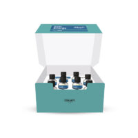 Αμπούλες κατά της τριχόπτωσης Super Energy 8 x 10ml