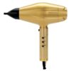 Babyliss Pro Gold Fx Dryer Fxbdg1E – 2200 Watt