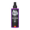 The Shave Factory After Shave Cologne 01 Pacific 250Ml
