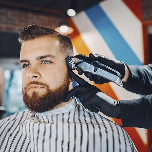 Fel Cat 0002 Barbershop