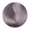 Vafi Malliwn Ksanto Platine Viole 100Ml Fanola