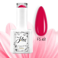 20273