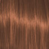 Color Action No 5.4