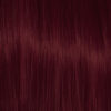 Color Action No 5.55