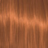 Color Action No 6.4