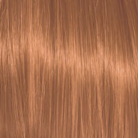 Color Action No 7.34