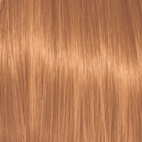 Color Action No 8.34