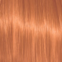 Color Action No 8.44