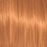 Color Action No 8.4