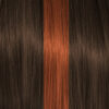 Color Action Auburn