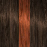 Color Action Auburn